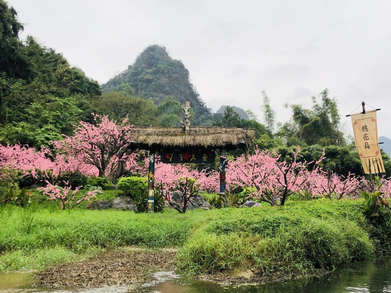 微信圖片_20191119122215