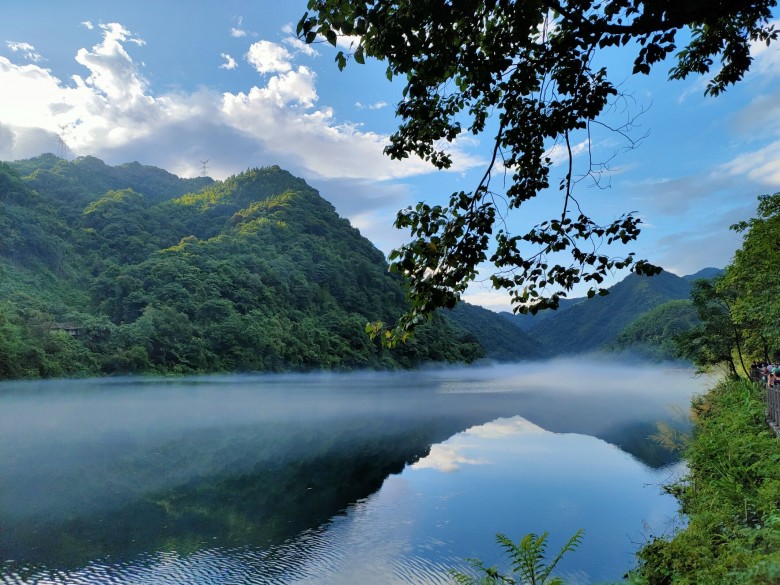 QQ圖片20200803105140